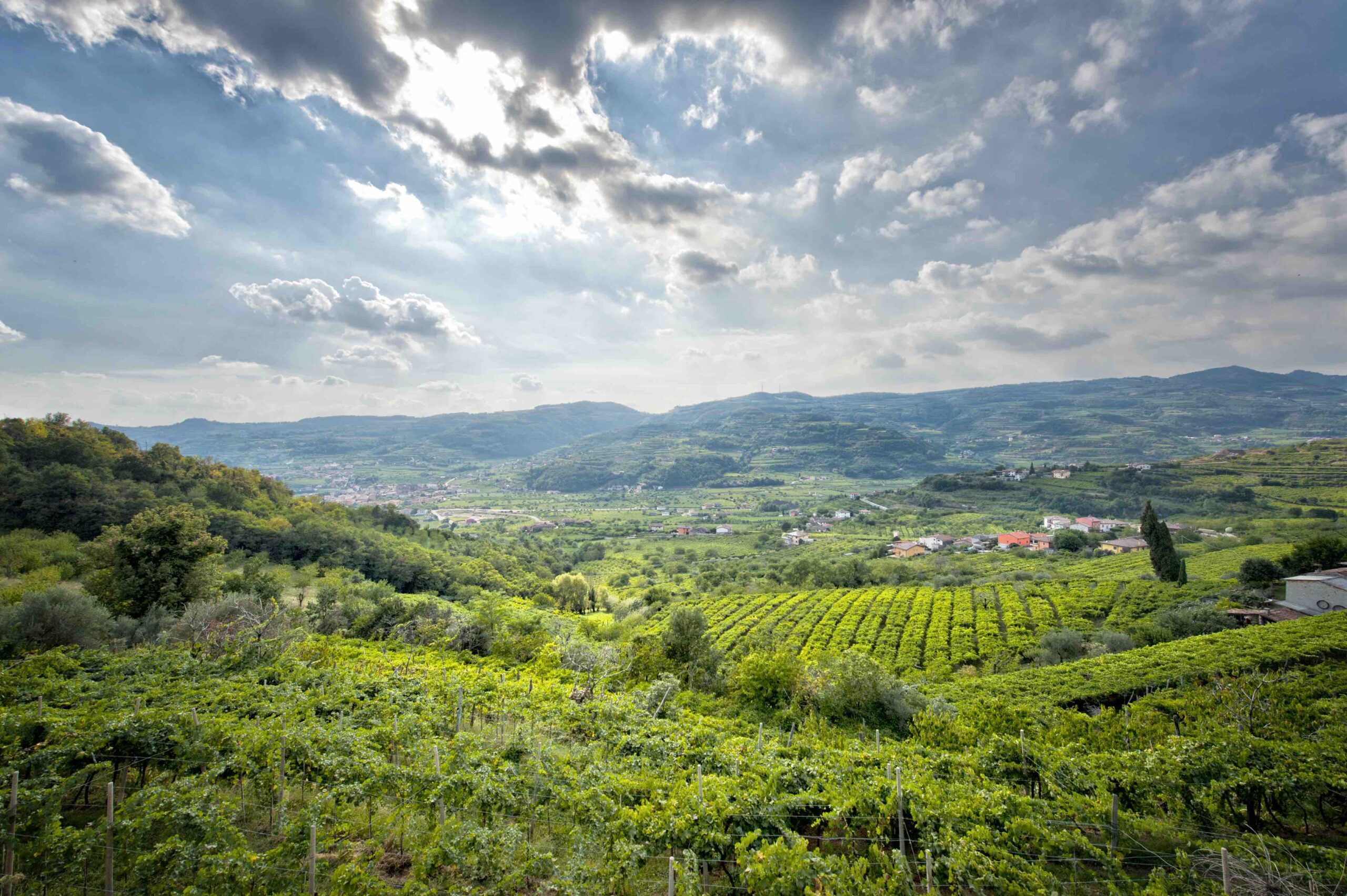 Val d’Alpone patrimonio Unesco, il dossier è arrivato al ministero dell’Ambiente