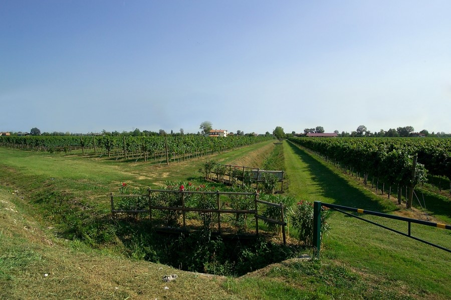 Vinitaly in crescita per Stelle & Fortuna, il brand veneto che punta ai mercati emergenti