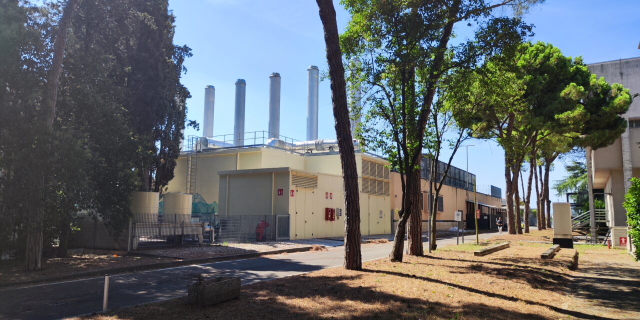 Gli ospedali di Verona sono green. Risparmiati 120 mila alberi l’anno