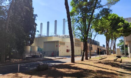 Gli ospedali di Verona sono green. Risparmiati 120 mila alberi l’anno