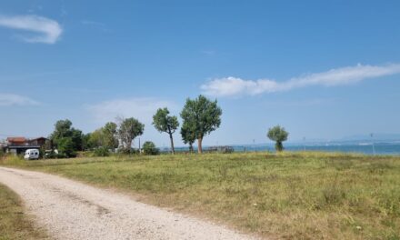 SpiaggiAido, un pomeriggio a Castelnuovo del Garda per promuovere il volontariato