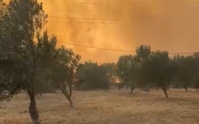 Veronesi in pericolo ad Atene per il fuoco che avanza verso la città