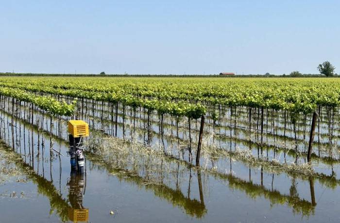 Maltempo 2023, sono 600 le imprese agricole ancora senza ristori