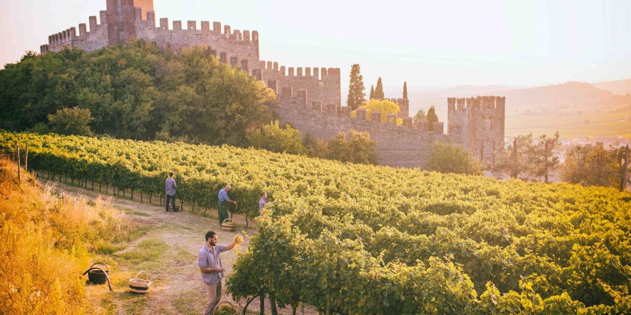 Il Soave alla conquista di Verona, lunedì 9 settembre a Castelvecchio una giornata di studio e degustazioni