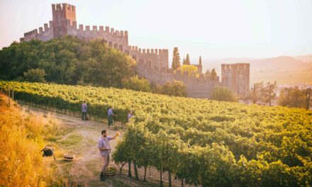 Il Soave alla conquista di Verona, lunedì 9 settembre a Castelvecchio una giornata di studio e degustazioni