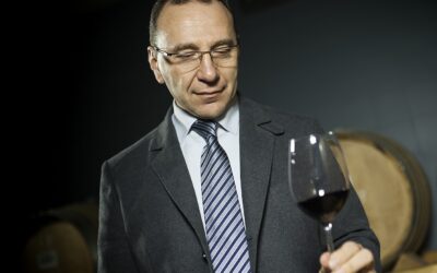 Cantina Valpolicella Negrar: vendemmia 2024 da interpretare, il Valpolicella è il vino trendy della Denominazione