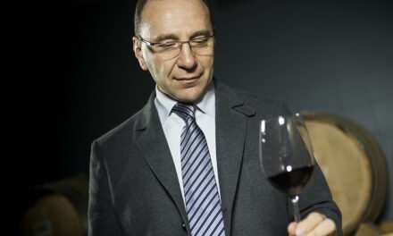 Cantina Valpolicella Negrar: vendemmia 2024 da interpretare, il Valpolicella è il vino trendy della Denominazione