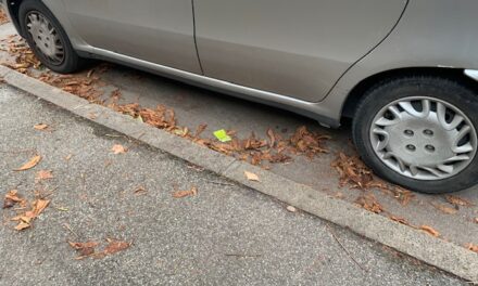 Auto ferme in strada da mesi. Sosta o occupazione di suolo pubblico?