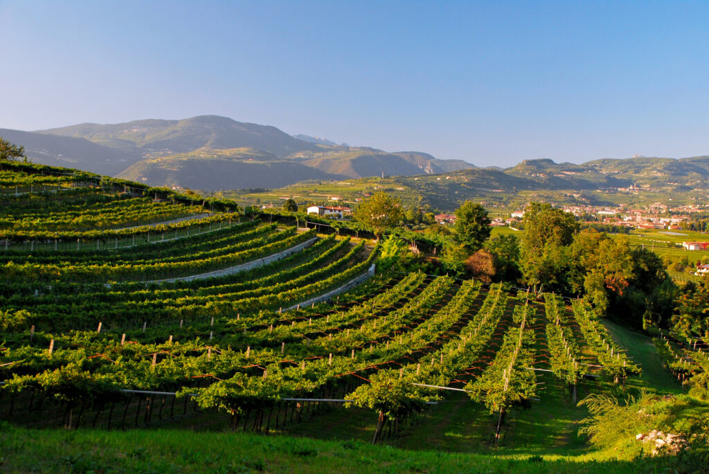 Valpolicella