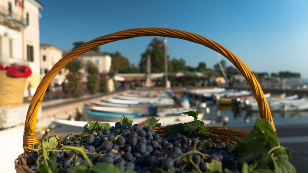 cesto di uva al Porto di Bardolino