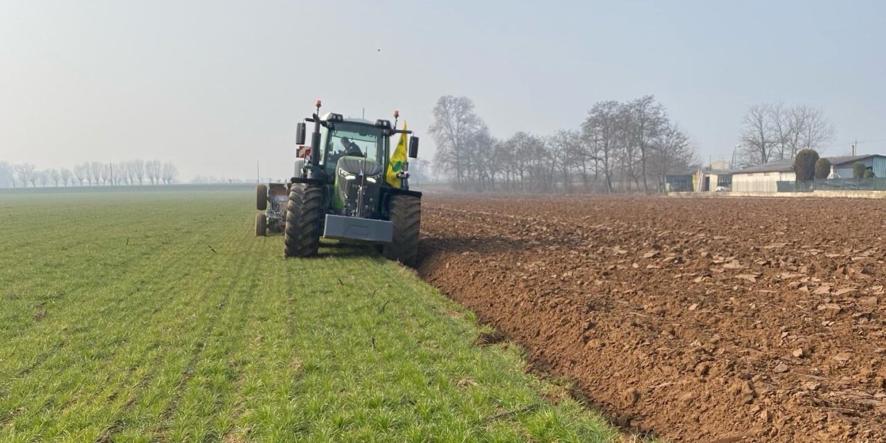 Coldiretti fotografa la produzione agricola veronese, nel 2024 si riducono le superfici coltivate ma l’eccellenza aumenta