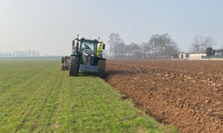 Coldiretti fotografa la produzione agricola veronese, nel 2024 si riducono le superfici coltivate ma l’eccellenza aumenta