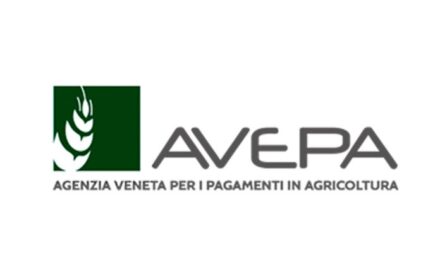 Avepa, boom dei pagamenti alle aziende agricole in soli 10 giorni. Caner: “Favoriamo la competitività delle imprese, semplificando e velocizzando l’accesso al credito” 