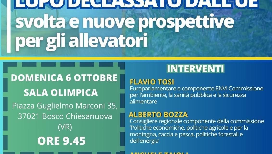 Al lupo, al lupo: Forza Italia (col ministro Pichetto Fratin) domenica spiega in Lessinia cosa cambia dopo il declassamento UE