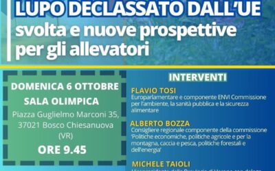 Al lupo, al lupo: Forza Italia (col ministro Pichetto Fratin) domenica spiega in Lessinia cosa cambia dopo il declassamento UE