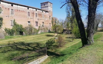 Nogarole Rocca. Interventi a tutto campo per manutenzioni, verde, illuminazione e rifiuti