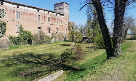 Nogarole Rocca. Interventi a tutto campo per manutenzioni, verde, illuminazione e rifiuti