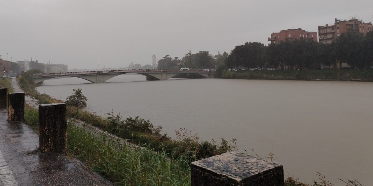 Meteo, Adige in piena per le forti piogge. Da domenica pomeriggio torna il sereno