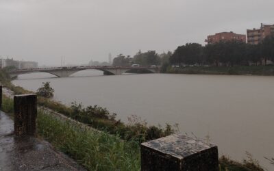 Meteo, Adige in piena per le forti piogge. Da domenica pomeriggio torna il sereno