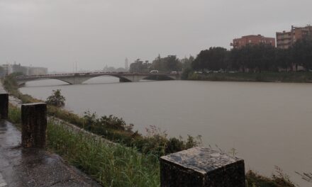 Meteo, Adige in piena per le forti piogge. Da domenica pomeriggio torna il sereno