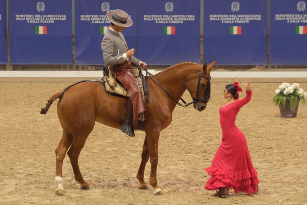 Fieracavalli2023 EnneviFoto 6099