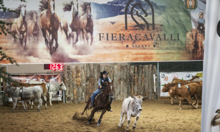 Fieracavalli, l’edizione 2024 chiude con 140mila visitatori