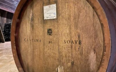 Cantina di Soave. Nominato il nuovo Cda