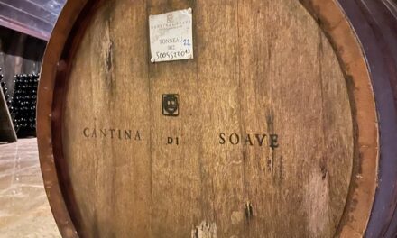 Cantina di Soave. Nominato il nuovo Cda