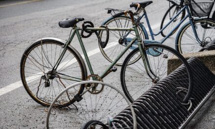 Il nuovo Codice della Strada s’è dimenticato delle biciclette