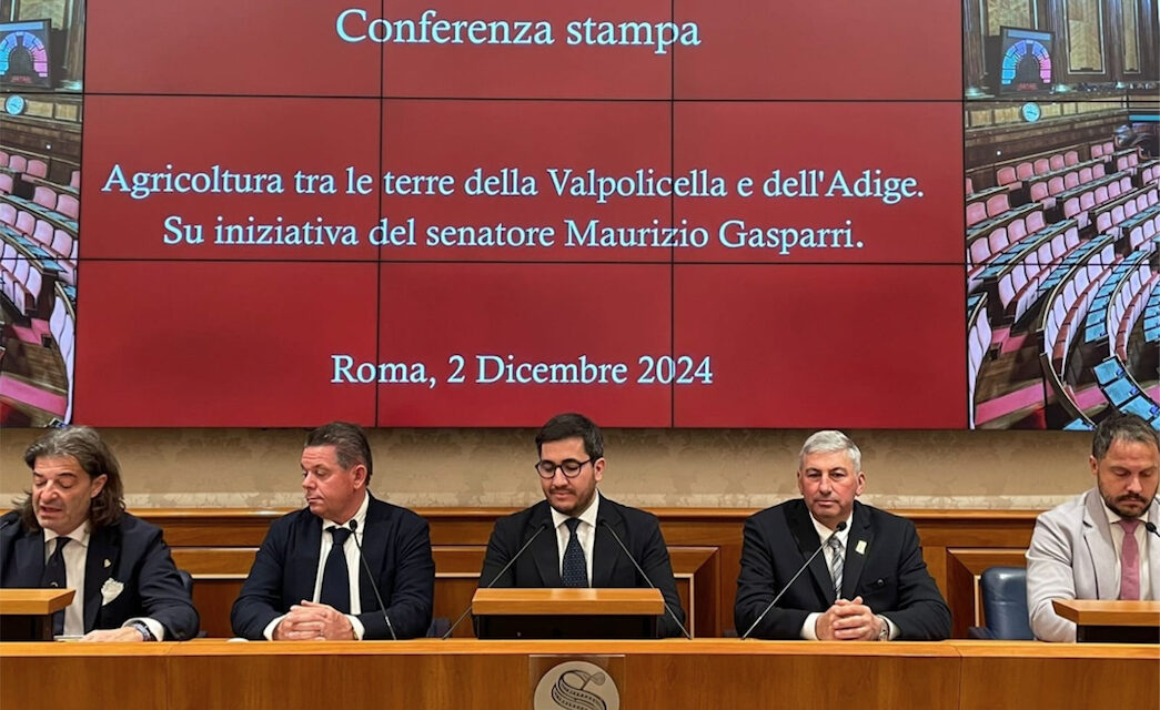 Presentato a Palazzo Madama il Forum “Agricoltura tra le Terre della Valpolicella e dell’Adige”