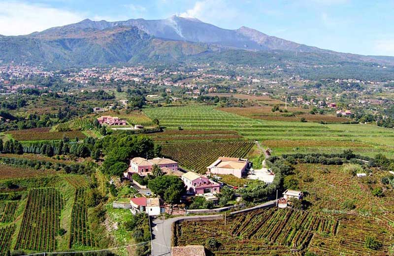 tenuta murgo san michele etna