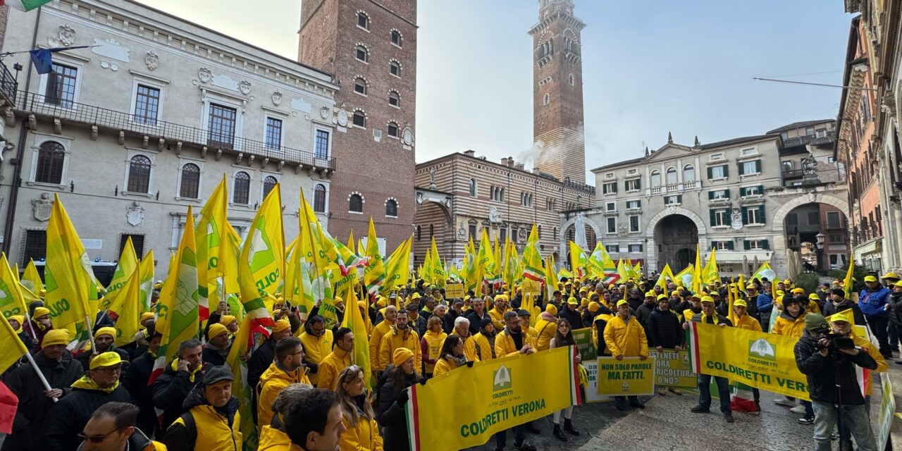 Coldiretti, agricoltura in crisi: ritardi nei contributi alle polizze mettono a rischio il settore