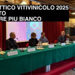 Sistema Vitivinicolo Veneto. Nel 2023 solidità consolidata ma appesa al filo della bacca bianca.