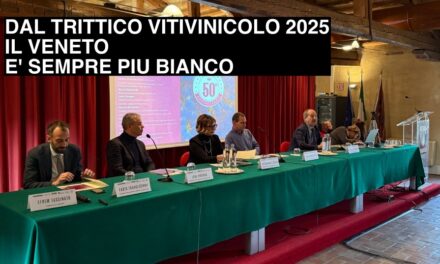 Sistema Vitivinicolo Veneto. Nel 2023 solidità consolidata ma appesa al filo della bacca bianca.