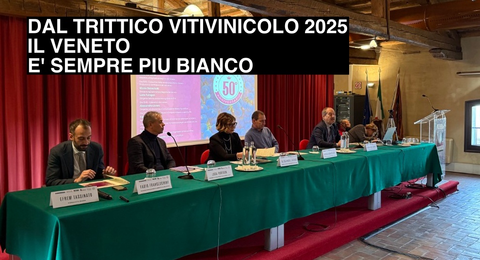 Sistema Vitivinicolo Veneto. Nel 2023 solidità consolidata ma appesa al filo della bacca bianca.