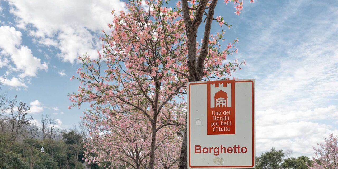 Valeggio, a Borghetto nasce il Viale dei Ciliegi