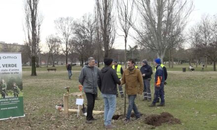 Liceo Galileo Galilei a parco San Giacomo: piantumato un Cercidifillo del Giappone per la XXI Giornata Nazionale del Risparmio Energetico